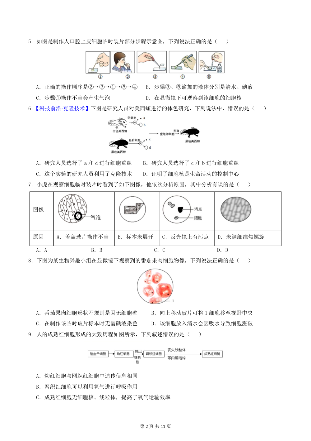 2026秋七上生物（人教）期中模拟卷（原卷版） 第2页（A4考场标准空白卷）